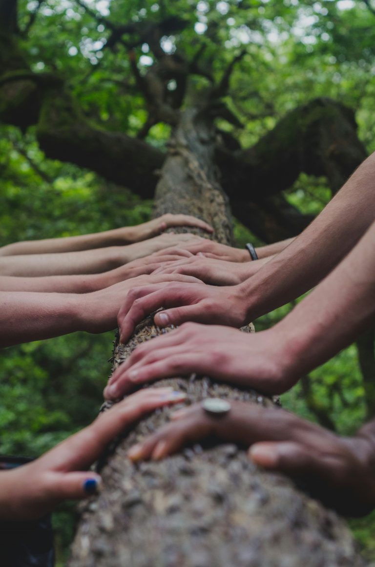Shane Rounce's photo from Unsplash