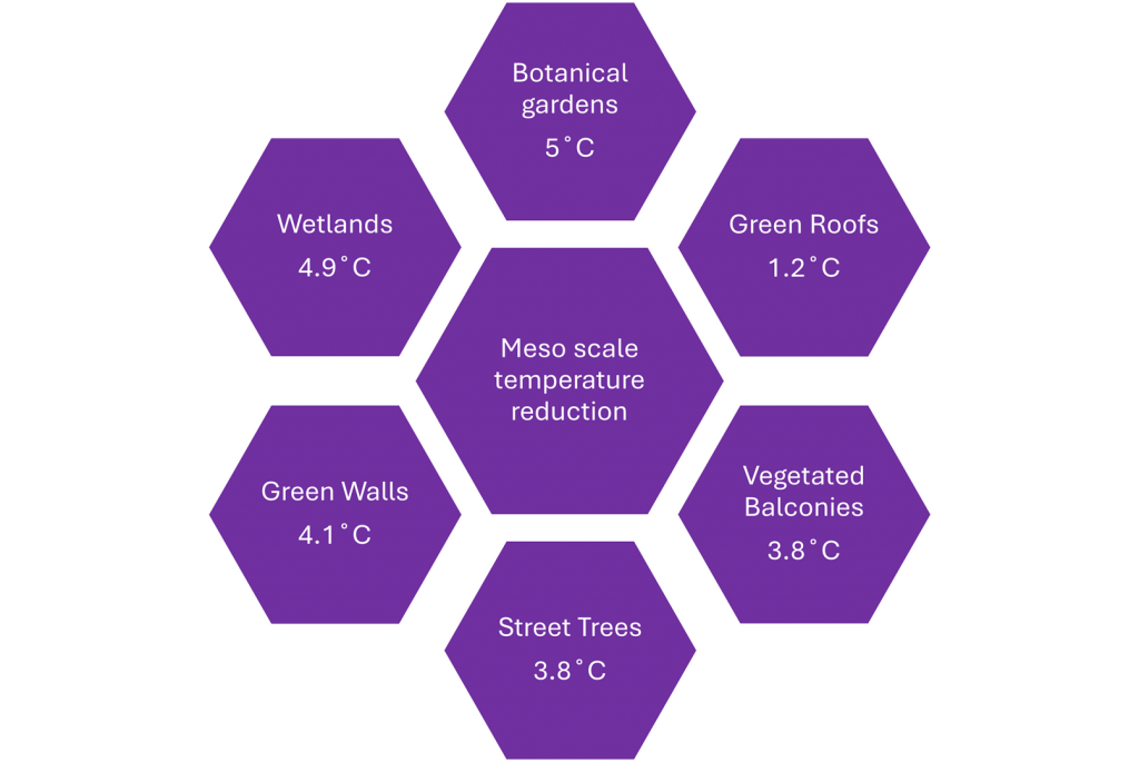 Average neighbourhood heat reduction benefits of some nature based solutions